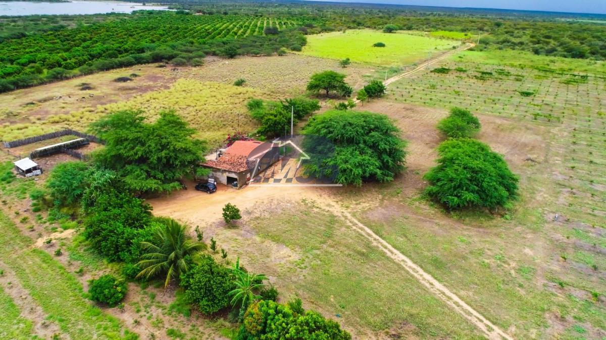 Fazenda, 40ha, à venda - Imob Petrolina